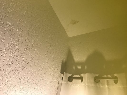 Phoenix Roofing and Construction Inc Logo