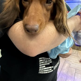 Aloha Veterinary Hospital - Veterinarians Near Me - Brea, California