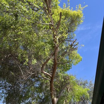 GR Landscaping - Landscaping Near Me