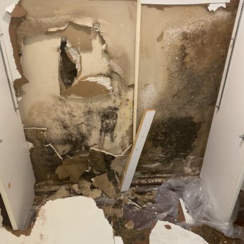 Royal Mold Specialist - Damage Restoration Near Me - Hollywood, Florida Royal Mold Specialist - Damage Restoration Near Me - Hollywood, Florida