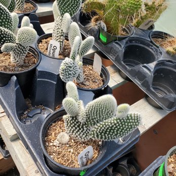 Crystal Gardens - Antiques Near Me - Frankfort, Michigan