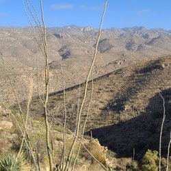 Agua Caliente Hill