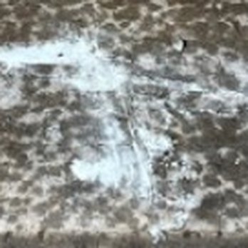 Paint For Less - more spilled paint on porch concrete area in front of front door. He didn't move door matt out of way and ruined it. - Painters Near Me