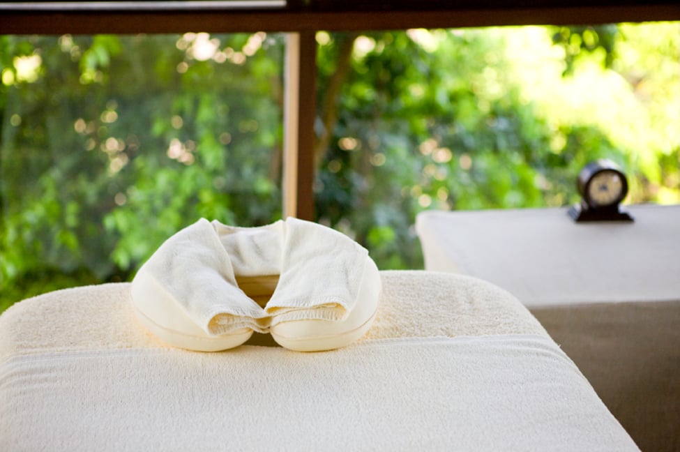 Massage Therapy by Liz Logo