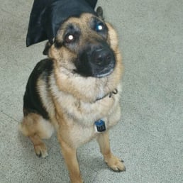 Graduation