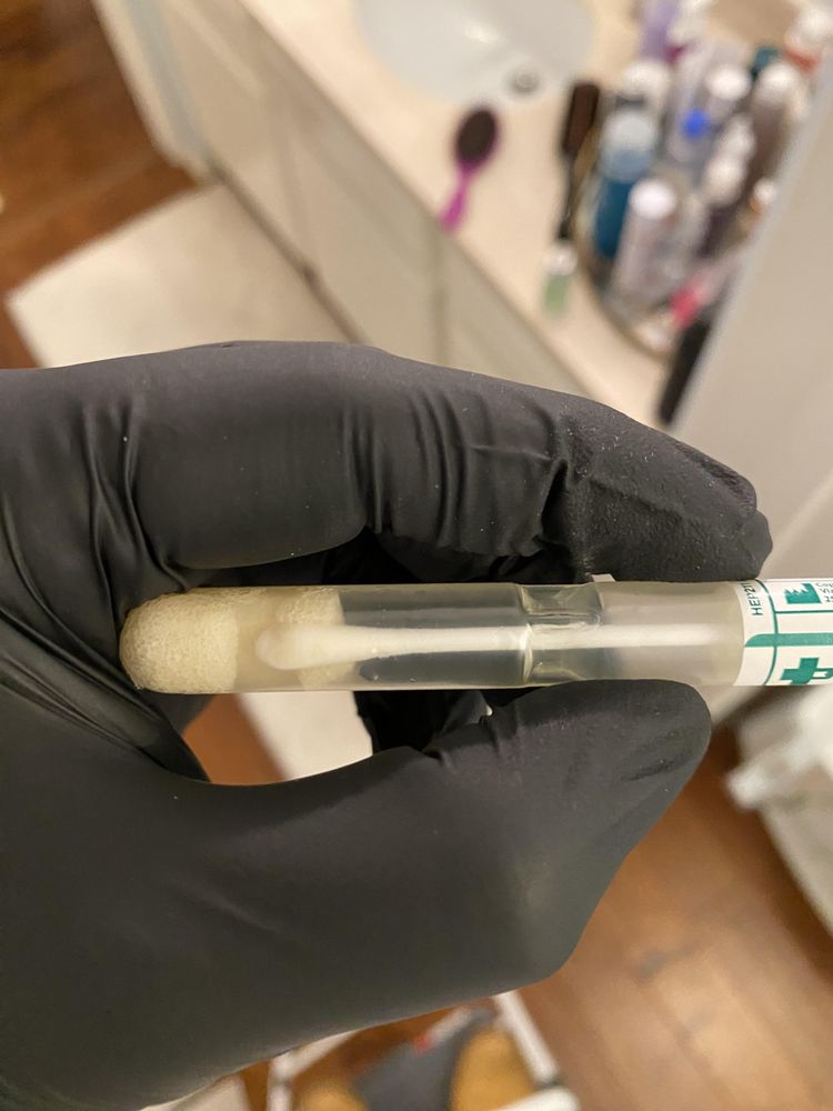 Mold Detective Inspection - mold inspector in Tarzana, CA