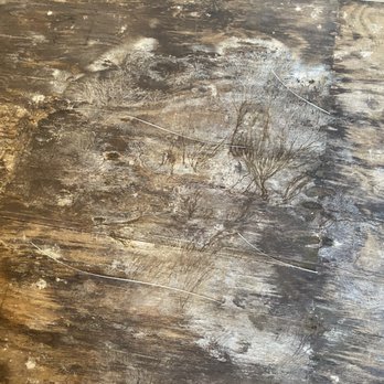 Hdmk - Horrible mold! - Home Inspectors Near Me Hdmk - Horrible mold! - Home Inspectors Near Me