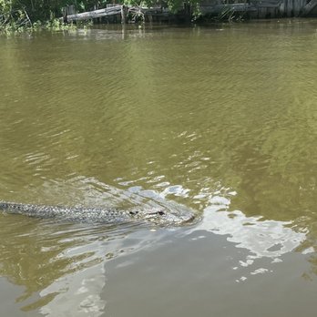 Airboat Adventures - Boat Tours Near Me - Lafitte, Louisiana Airboat Adventures - Boat Tours Near Me - Lafitte, Louisiana