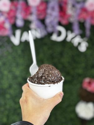 Van Dyk's Ice Cream