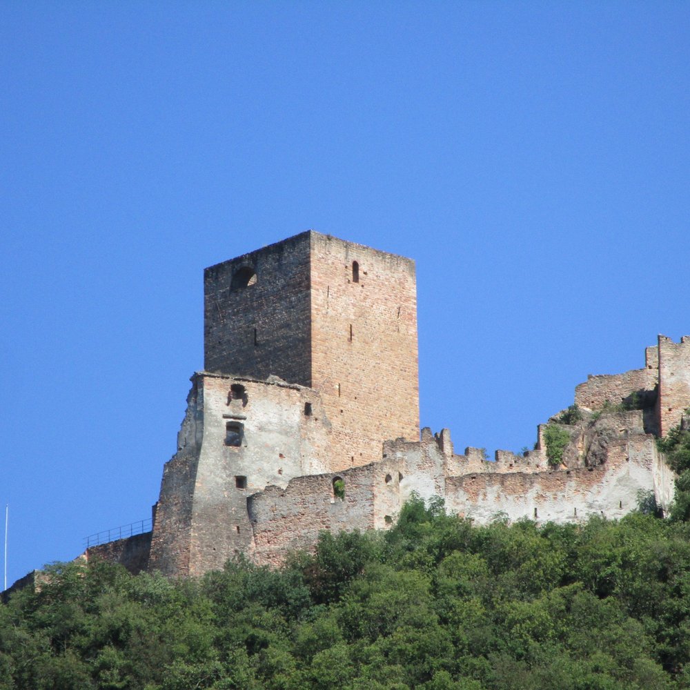 🐮I MIGLIORI FORMAGGI BIO DEL TRENTINO!🧀 Freschi e stagionati, burro,  yogurt e ricotta in una piccola azienda a conduzione familiare, fondata nel  2020 dai fratelli Damiano e Daniele nel cuore della Val ..., image size:1000x1000