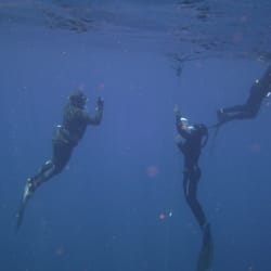 Apex Freediving