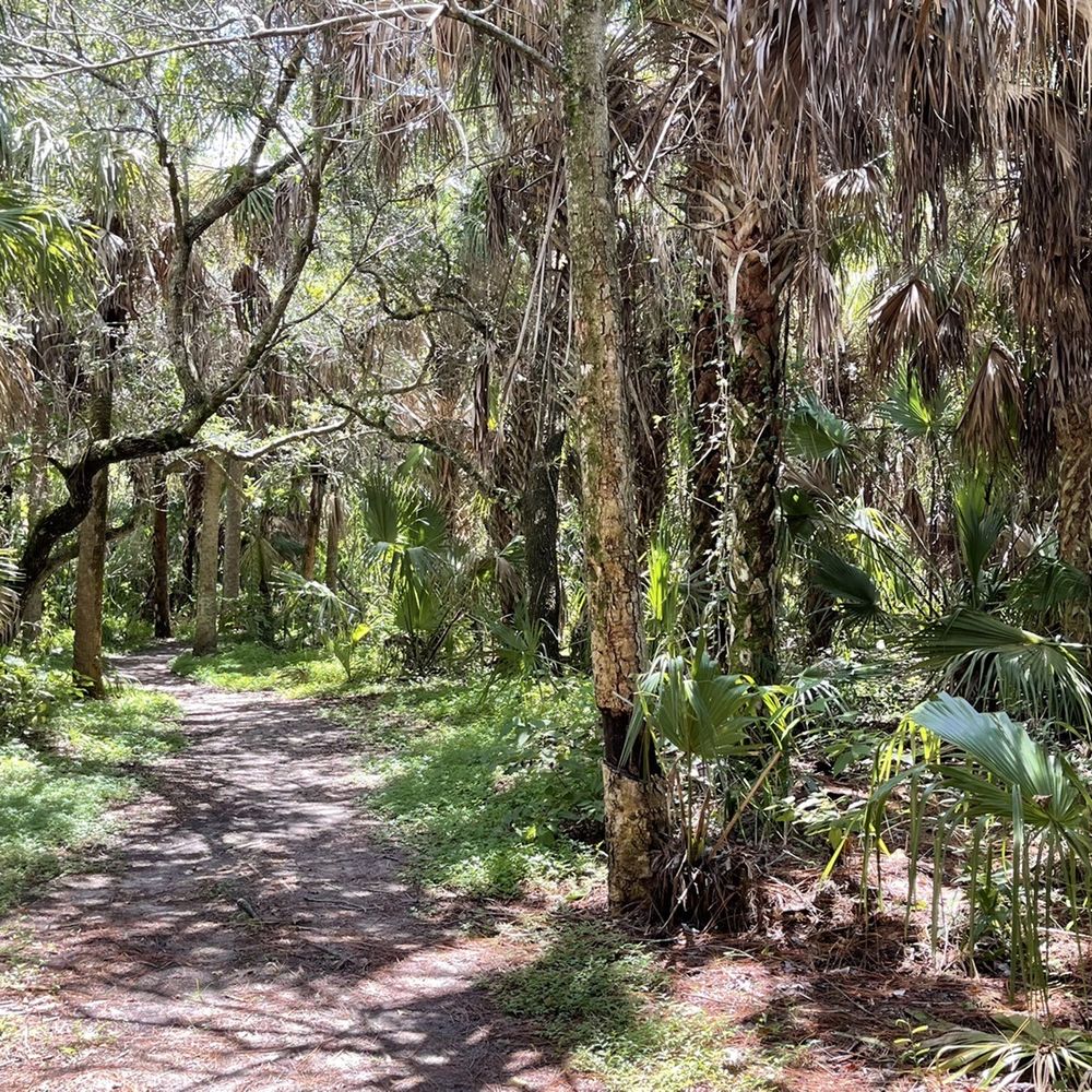 Koreshan State Park - Hiking trail - Parks Near Me - Estero, Florida Koreshan State Park - Hiking trail - Parks Near Me - Estero, Florida