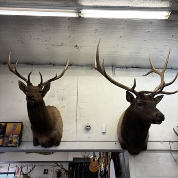 Grandpa's Pawn & Gun - Guns & Ammo Near Me - Longmont, Colorado Grandpa's Pawn & Gun - Guns & Ammo Near Me - Longmont, Colorado