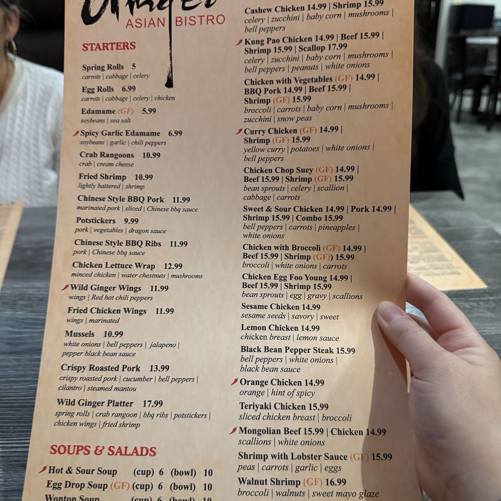 Wild Ginger Asian Bistro - Asian Fusion Near Me - Gilbert, Arizona