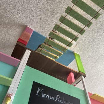 Cat Cafe Meows Rakuen - Kitten - Cafes Near Me - Gardena, California Cat Cafe Meows Rakuen - Kitten - Cafes Near Me - Gardena, California