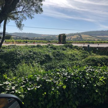 Wooden Valley Winery - Right off Suisun Valley such a pretty area. - Wineries Near Me - Fairfield, California Wooden Valley Winery - Right off Suisun Valley such a pretty area. - Wineries Near Me - Fairfield, California