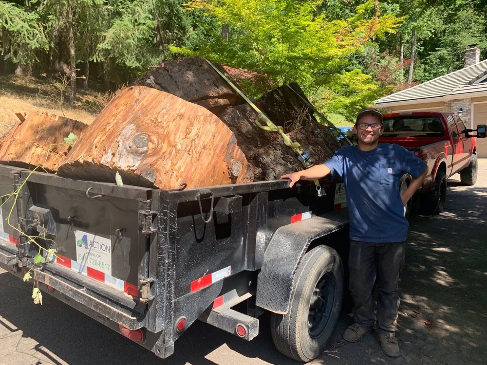 RMAC Tree Service - tree service in Springfield, OR