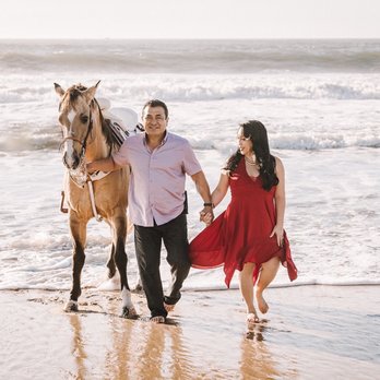 El Pony Charro - Party Equipment Rentals Near Me El Pony Charro - Party Equipment Rentals Near Me