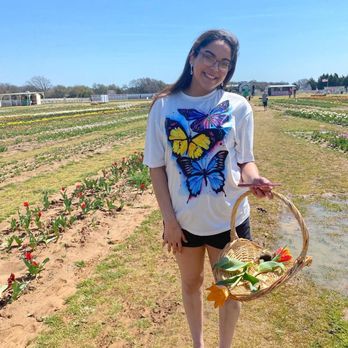 Texas-Tulips - Cool baskets and great photo spots! - Nurseries & Gardening Near Me - Pilot Point, Texas