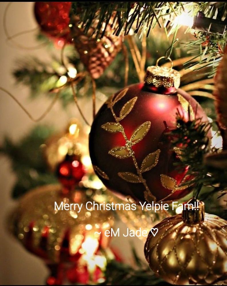 CITY OF FREMONT Updated September 2024 183 Photos 3377 Alder Ave, Fremont, California