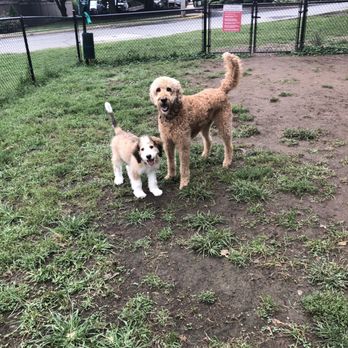 Best In Coat - Pet Groomers Near Me - West Chester, Pennsylvania Best In Coat - Pet Groomers Near Me - West Chester, Pennsylvania