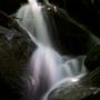 Photo of Hollow Brook Trail