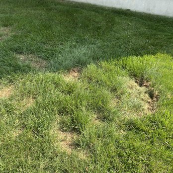 Warrens Lawn Care - Lawn Services Near Me - Lincoln, Delaware Warrens Lawn Care - Lawn Services Near Me - Lincoln, Delaware