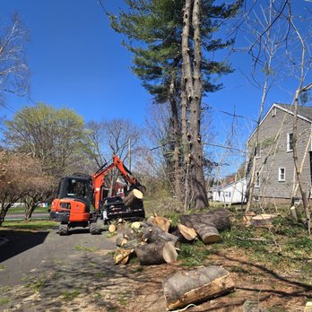 AAA Home Tree Removal Experts - Tree Services Near Me - Berlin, Connecticut