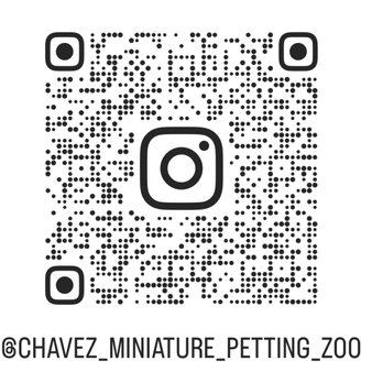 Chavez Miniature Petting Zoo - Petting Zoos Near Me - Modesto, California Chavez Miniature Petting Zoo - Petting Zoos Near Me - Modesto, California