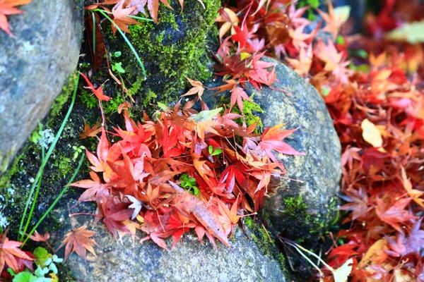 Yoshinoyama by null