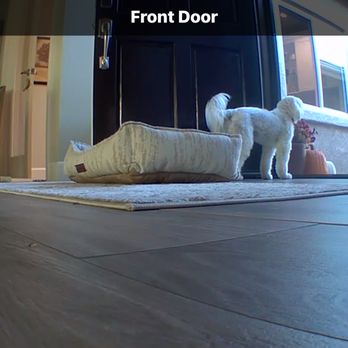 Classic Improvement Products - Happy Pup can now look out and people watch while I'm home. - Shades & Blinds Near Me - Anaheim Hills, California