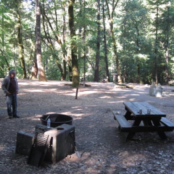 Richardson Grove State Park - Oak campground more open, Oak and Bay trees. - Parks Near Me - Garberville, California Richardson Grove State Park - Oak campground more open, Oak and Bay trees. - Parks Near Me - Garberville, California