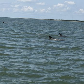 Assateague Explorer - Dolphin - Rafting/Kayaking Near Me - Chincoteague Island, Virginia Assateague Explorer - Dolphin - Rafting/Kayaking Near Me - Chincoteague Island, Virginia