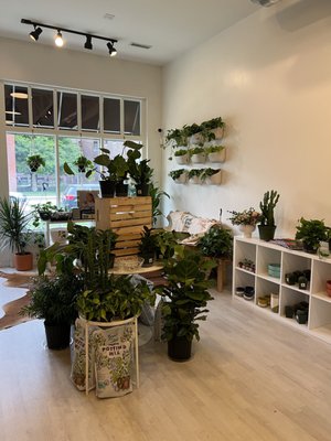 The Botanical Bar by null