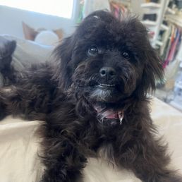 Lil baby pickles looking fabulous Lil baby pickles looking fabulous