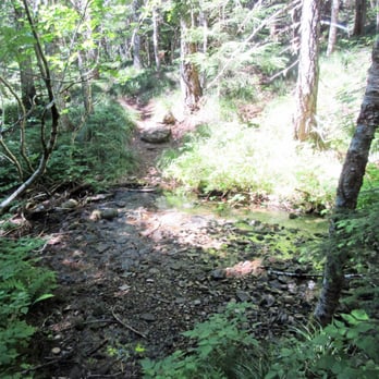 Benson Plateau - Ruckel Creek - Hiking Near Me - Portland, Oregon Benson Plateau - Ruckel Creek - Hiking Near Me - Portland, Oregon