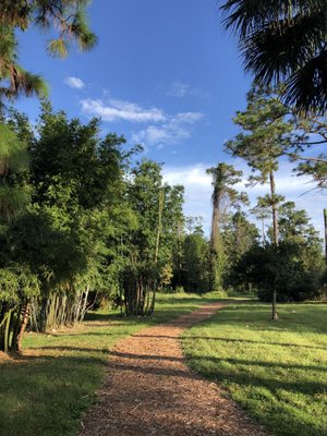 UCF Arboretum by null