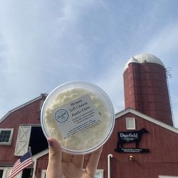 Deerfield Farm - Briana Soft Cheese Garlic/Chive