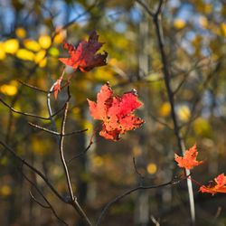 High Point State Park - Https://youtu.be/_MS-QYCuR7s