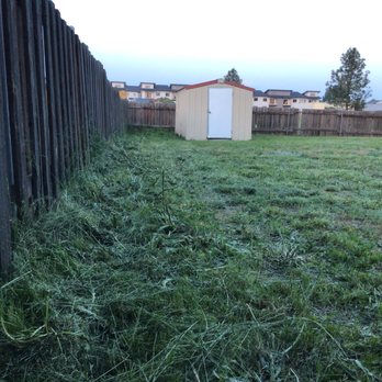Legend Lawn Care - Paid for weed whacking, they didn't do it. - Lawn Services Near Me Legend Lawn Care - Paid for weed whacking, they didn't do it. - Lawn Services Near Me