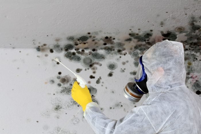Ahold of Mold Environmental - mold inspector in Erie, PA