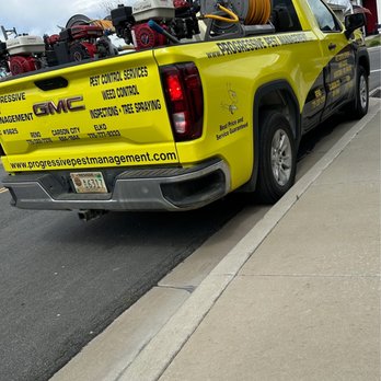 Progressive Pest Management - They spray for weeds - Pest Control Near Me - Sparks, Nevada Progressive Pest Management - They spray for weeds - Pest Control Near Me - Sparks, Nevada