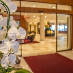 Der Steirerhof - Herzlich Willkommen im Hotel & Spa Der Steirerhof Bad Waltersdorf