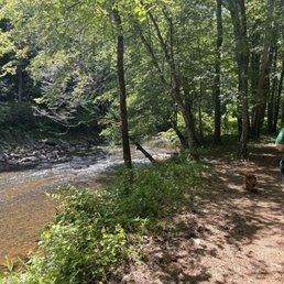 Beautiful trails along a stream.
