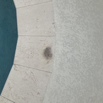Atlas Pools - Stains in coping that won't go away. - Pool & Hot Tub Service Near Me - Oviedo, Florida Atlas Pools - Stains in coping that won't go away. - Pool & Hot Tub Service Near Me - Oviedo, Florida