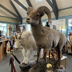 Historic Georgetown - In the gift shop.