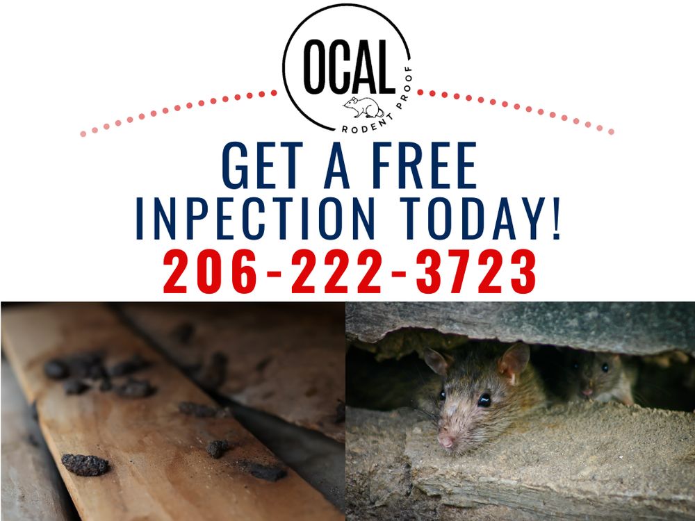 Ocal Rodent Proofing - veterans service organization in Seattle, WA