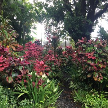 Entabeni Cottage - Vacation Rentals Near Me - Hana, Hawaii Entabeni Cottage - Vacation Rentals Near Me - Hana, Hawaii