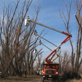 Seven Trees Tree Experts - Tree Services Near Me - Spanish Fork, Utah Seven Trees Tree Experts - Tree Services Near Me - Spanish Fork, Utah