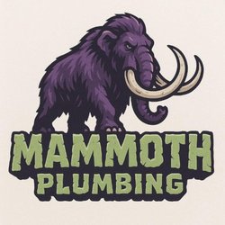 Mammoth Plumbing